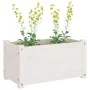 Jardineras 2 uds madera maciza de pino blanco 60x31x31 cm de vidaXL, Maceteros y jardineras - Ref: Foro24-810707, Precio: 54,...