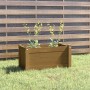 Jardinera de madera maciza de pino marrón miel 60x31x31 cm de vidaXL, Maceteros y jardineras - Ref: Foro24-810710, Precio: 42...