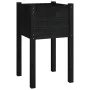 Jardinera de madera maciza de pino negro 40x40x70 cm de vidaXL, Maceteros y jardineras - Ref: Foro24-810797, Precio: 27,35 €,...
