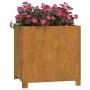 Jardineras con patas 2 udss acero corten oxidado 49x47x50 cm de vidaXL, Maceteros y jardineras - Ref: Foro24-823683, Precio: ...