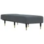 Sofá diván de terciopelo gris oscuro de vidaXL, Divanes - Ref: Foro24-352803, Precio: 166,39 €, Descuento: %