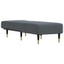 Sofá diván de terciopelo gris oscuro de vidaXL, Divanes - Ref: Foro24-352803, Precio: 180,60 €, Descuento: %