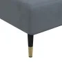 Sofá diván de terciopelo gris oscuro de vidaXL, Divanes - Ref: Foro24-352803, Precio: 166,39 €, Descuento: %