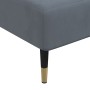 Sofá diván de terciopelo gris oscuro de vidaXL, Divanes - Ref: Foro24-352803, Precio: 180,60 €, Descuento: %