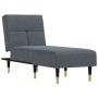 Sofá diván de terciopelo gris oscuro de vidaXL, Divanes - Ref: Foro24-352809, Precio: 177,37 €, Descuento: %