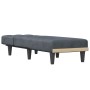 Sofá diván de terciopelo gris oscuro de vidaXL, Divanes - Ref: Foro24-352861, Precio: 137,30 €, Descuento: %