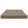 Cojines para tumbona 2 uds tela Oxford gris taupe de vidaXL, Cojines para sillas y sofás - Ref: Foro24-361992, Precio: 61,21 ...
