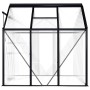 Invernadero de aluminio gris antracita 3,61 m² de vidaXL, Invernaderos - Ref: Foro24-48209, Precio: 303,44 €, Descuento: %
