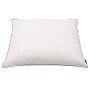 Almohadas 2 uds relleno plumón/plumas 70x60 cm blanco en Ropa de cama | Comprar online en Foru.es