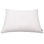 Almohadas 2 uds relleno plumón/plumas 70x60 cm blanco en Ropa de cama | Comprar online en Foru.es