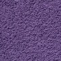 Toallas de mano premium SOLUND 10 unidades, color morado, 30 x 30 cm, 600 g/m² en Toallas | Comprar online en Foru.es