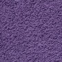 Toallas de sauna SOLUND 2 unidades morado 80x200 cm 600 gsm en Toallas | Comprar online en Foru.es