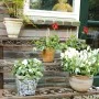 Esschert Design Rectangular plant stand BPH33 by Esschert Design, Pot stands - Ref: Foro24-404601, Price: 149,22 €, Discount: %