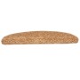 Felpudos para escaleras 10 unidades 65x21x4 cm Beige Semicircular Grande en Hogar | Comprar online en Foru.es