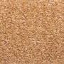 Alfombrillas para escaleras 10 unidades 65x21x4 cm Beige Borde Rectangular en Hogar | Comprar online en Foru.es