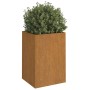 Jardinera de acero corten 52x48x75 cm de vidaXL, Maceteros y jardineras - Ref: Foro24-821555, Precio: 77,08 €, Descuento: %