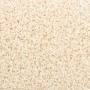 Alfombrillas para escaleras 20 unidades 65x21x4 cm Crema Semicircular Grande en Hogar | Comprar online en Foru.es