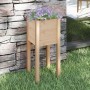 Jardinera de madera maciza de pino 31x31x70 cm de vidaXL, Maceteros y jardineras - Ref: Foro24-810779, Precio: 25,25 €, Descu...