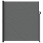 Toldo lateral retráctil gris antracita 220x600 cm en Sombrillas | Comprar online en Foru.es