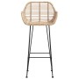 Silla de Bar 2 pcs Natural 55 x 52 x 92 cm Ratan e Hierro en Taburetes de cocina | Comprar online en Foru.es