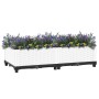 Arriate polipropileno 80x40x23 cm de vidaXL, Maceteros y jardineras - Ref: Foro24-153305, Precio: 46,36 €, Descuento: %