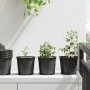 Maceta de flores 50 pcs Negro Ø 15 x 12.5 cm Plástico en Macetas y jardineras | Comprar online en Foru.es
