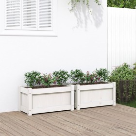 Jardineras de exterior 2 unidades madera maciza de pino blanco en Macetas y jardineras | Comprar online en Foru.es