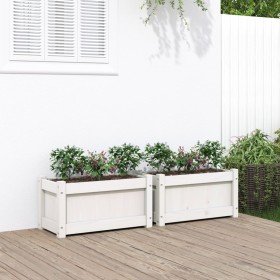 Jardineras de exterior 2 unidades madera maciza de pino blanco en Macetas y jardineras | Comprar online en Foru.es