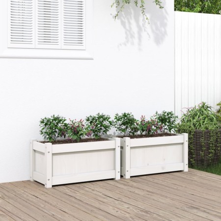 Jardineras de exterior 2 unidades madera maciza de pino blanco en Macetas y jardineras | Comprar online en Foru.es