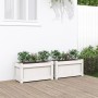 Jardineras de exterior 2 unidades madera maciza de pino blanco en Macetas y jardineras | Comprar online en Foru.es
