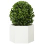 Jardinera hexagonal acero blanco 69x60x45 cm en Macetas y jardineras | Comprar online en Foru.es