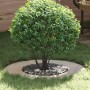 adecuado para Anillo de Árbol Plano Plateado Ø40 / 70 cm en Macetas y jardineras | Comprar online en Foru.es
