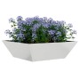 Maceta para Jardín Plateado 50 x 50 x 15 cm Acero Galvanizado en Macetas y jardineras | Comprar online en Foru.es