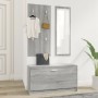 Set de mueble zapatero 3 en 1 madera contrachapada gris Sonoma en Zapateros y organizadores de calzado | Comprar online en Foru.