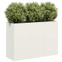 Jardinera de acero laminado en frío blanco 120x40x80 cm en Macetas y jardineras | Comprar online en Foru.es