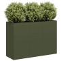 Jardinera de acero laminado en frío verde oliva 120x40x80 cm en Macetas y jardineras | Comprar online en Foru.es