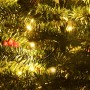 Árboles de Navidad artificiales 2 uds corona, guirnalda y LED en Decoración Festiva y Estacional | Comprar online en Foru.es