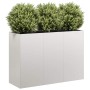 Jardinera 120x40x80 cm acero inoxidable en Macetas y jardineras | Comprar online en Foru.es