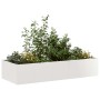 Jardinera 200x80x40 cm Acero inoxidable en Macetas y jardineras | Comprar online en Foru.es