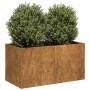 Jardinera oxidada 80x40x40 cm acero corten en Macetas y jardineras | Comprar online en Foru.es