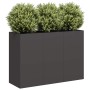 Jardinera de acero laminado en frío negro 120x40x80 cm en Macetas y jardineras | Comprar online en Foru.es