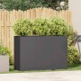 Jardinera de acero laminado en frío negro 120x40x80 cm en Macetas y jardineras | Comprar online en Foru.es