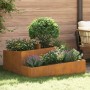 Macetero de Jardín Marrón 100 x 100 x 50 cm Acero autopatinable en Macetas y jardineras | Comprar online en Foru.es