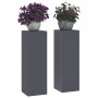 Soporte de plantas 2 pcs Antracita 24 x 24 x 75 cm Acero en Soportes para macetas | Comprar online en Foru.es