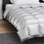Edredón de Invierno Plateado 200 x 200 cm Satén y Microfibra en Ropa de cama | Comprar online en Foru.es