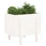 Jardinera de madera maciza de pino blanco 62x50x57 cm de vidaXL, Maceteros y jardineras - Ref: Foro24-825206, Precio: 58,36 €...