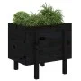 Jardinera de madera maciza de pino negro 62x50x57 cm de vidaXL, Maceteros y jardineras - Ref: Foro24-825209, Precio: 71,98 €,...