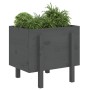 Jardinera de madera maciza de pino gris 62x50x57 cm de vidaXL, Maceteros y jardineras - Ref: Foro24-825207, Precio: 51,26 €, ...