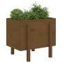 Jardinera de madera maciza de pino marrón miel 62x50x57 cm de vidaXL, Maceteros y jardineras - Ref: Foro24-825208, Precio: 72...