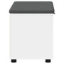 Banco de entrada con cojín con almacenamiento 60 x 38 x 46 cm en Bancos para recibidores y almacenamiento | Comprar online en Fo
